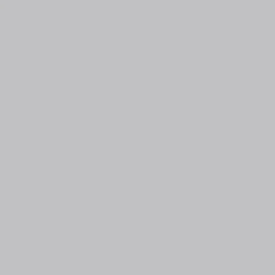 Light Gray (AME-POLY-LIGHT-GRAY) swatch