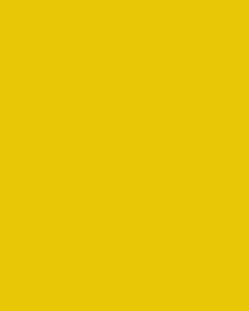 Safety Yellow (AME-POLY-SAFETY-YELLOW) swatch